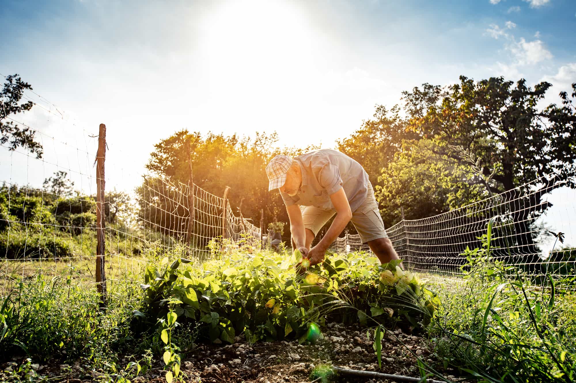 Travailler à la chaleur